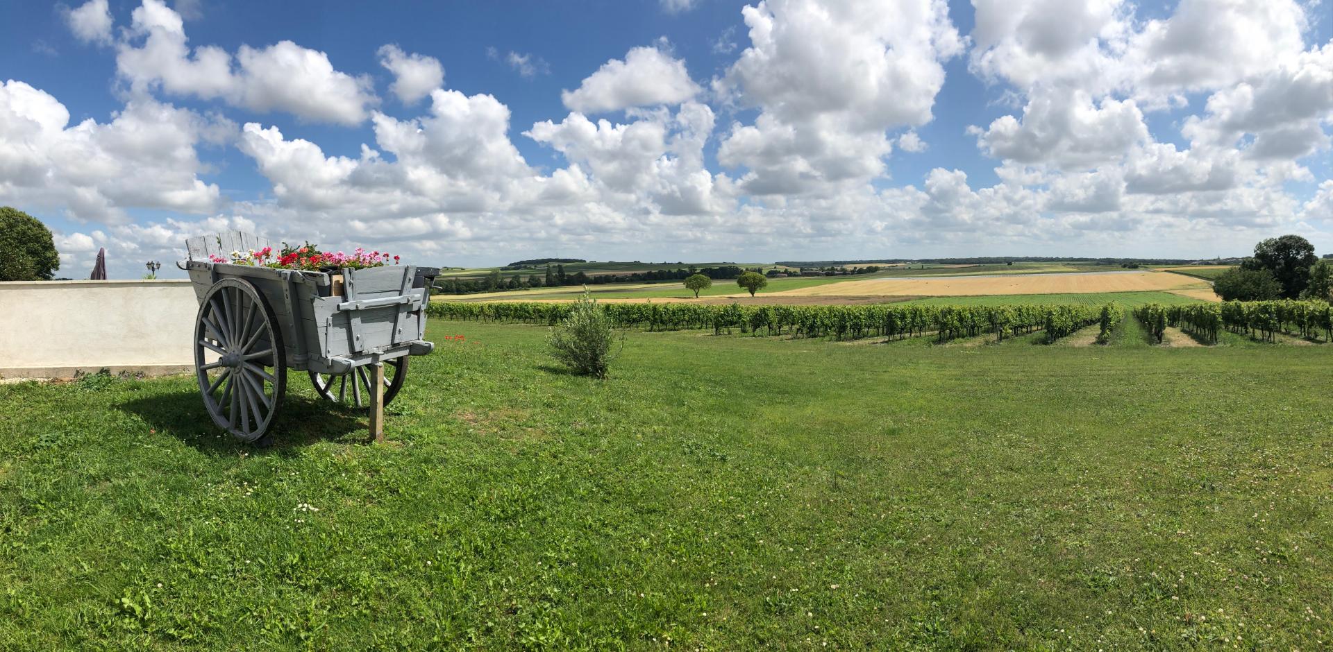 Un environnement époustouflant Cisaillez la tranquillité dans la campagne française